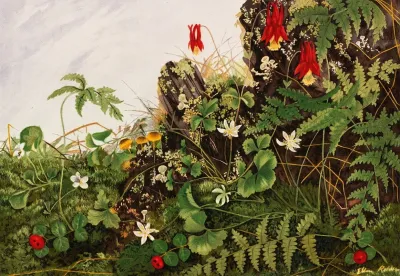 Wild Flowers No 1