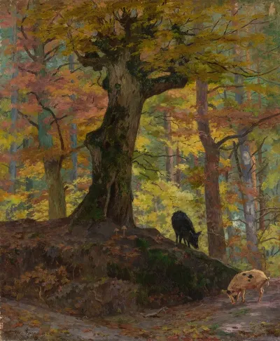 Wild Pigs In The Forest