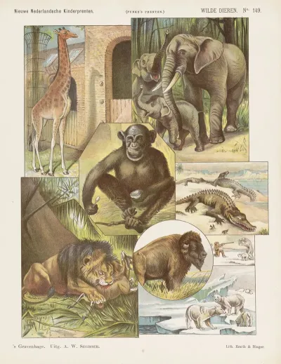 Wilde Dieren
