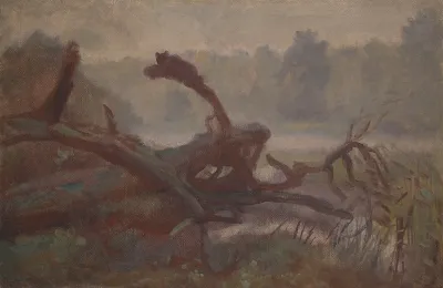 Wilderness Forest Windfalls Sketch