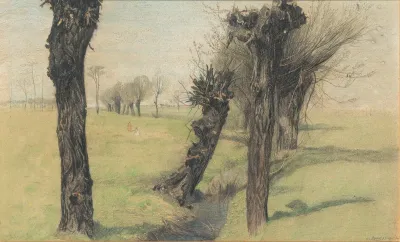 Willow Trees At A Brook