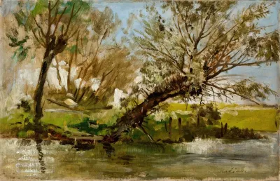 Willows 2