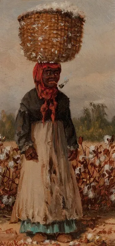 Woman In Cotton Field