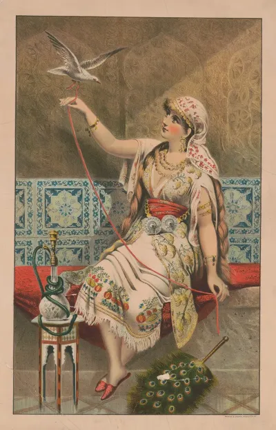 Woman Seated With Peacock Fan Hookah Pipe And White Bird