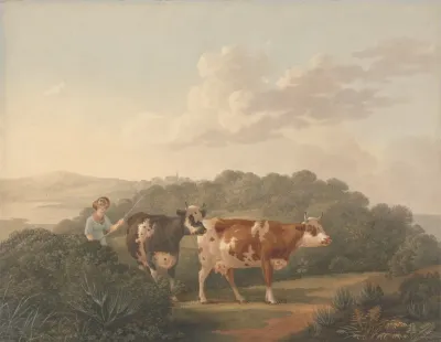 Woman With Cattle