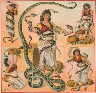 Women Snake Charmers
