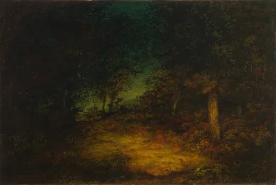 Wood Interior 3