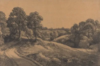 Wooded Slope With A Receding Road