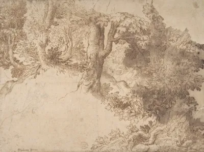 Woodland Scene With Light Sketch Of A Madonna And Child
