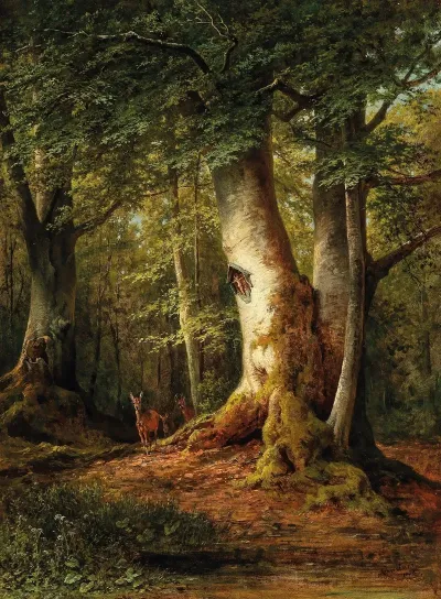 Woodland Scene With Roe Deer