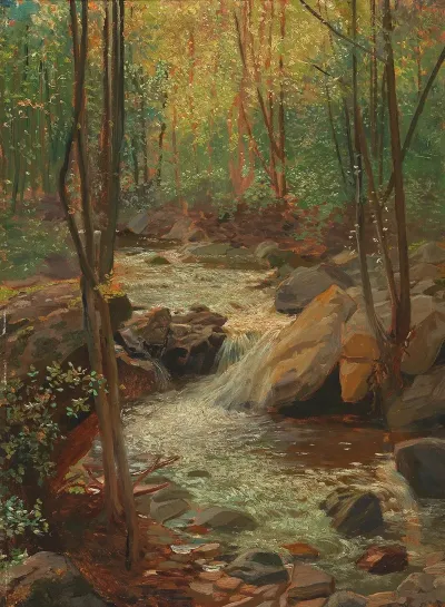 Woodland Stream 4