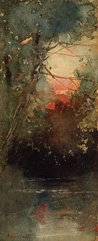 Woodland Sunset
