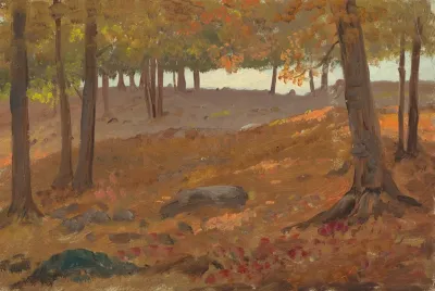Woods In Autumn 2