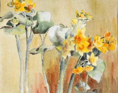 Yellow And Orange Flower 2