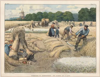 Zomerwerk En Zomerweelde Een Juligdag Opt Land