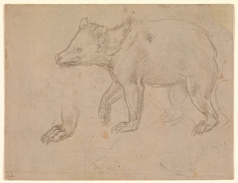 A Bear Walking Wall Art by Leonardo da Vinci - High-Resolution Digital Print
