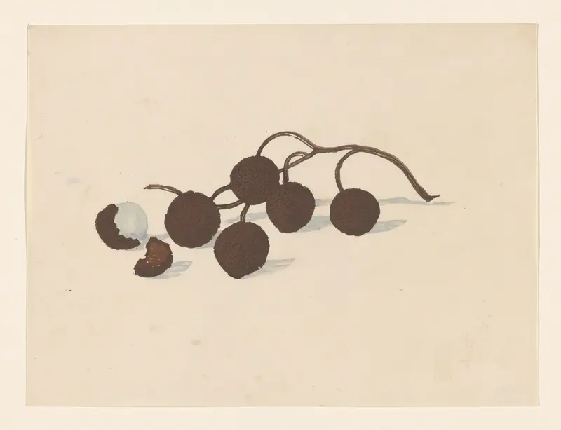 A branch of lychees Wall Art by Onchi Kōshirō - High-Resolution Digital Print