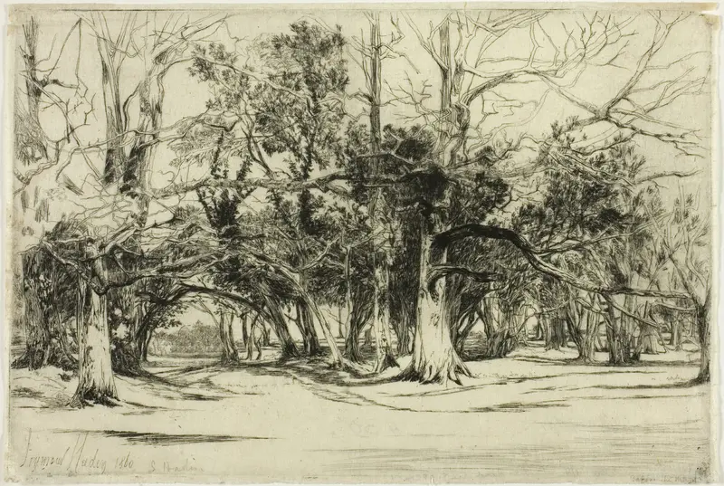 A By-Road in Tipperary
