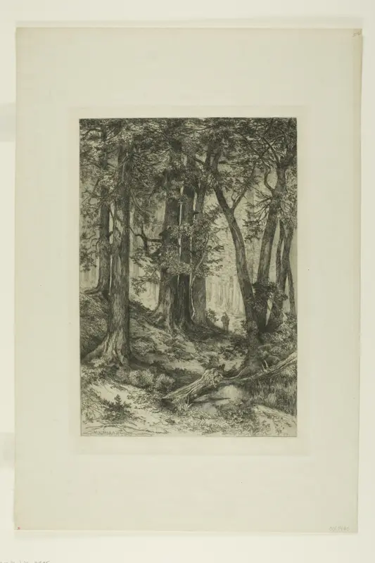 A California Forest Wall Art by Mary Nimmo Moran - High-Resolution Digital Print