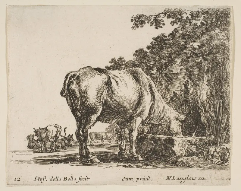 A cow drinking from a stone trough, other cows to left in background, plate 12 from "Diversi capricci" Wall Art by Stefano della Bella - High-Resolution Digital Print