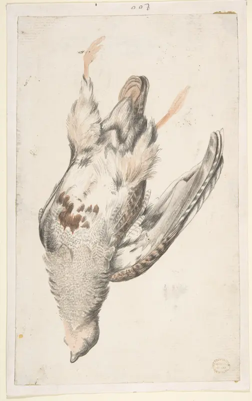 A Dead Bird (Quail?) Seen from Below Wall Art by Count Giorgio Durante (Duranti) - High-Resolution Digital Print