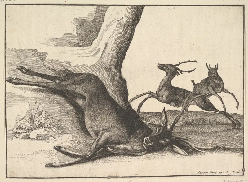 A dead stag (anonymous copy)
