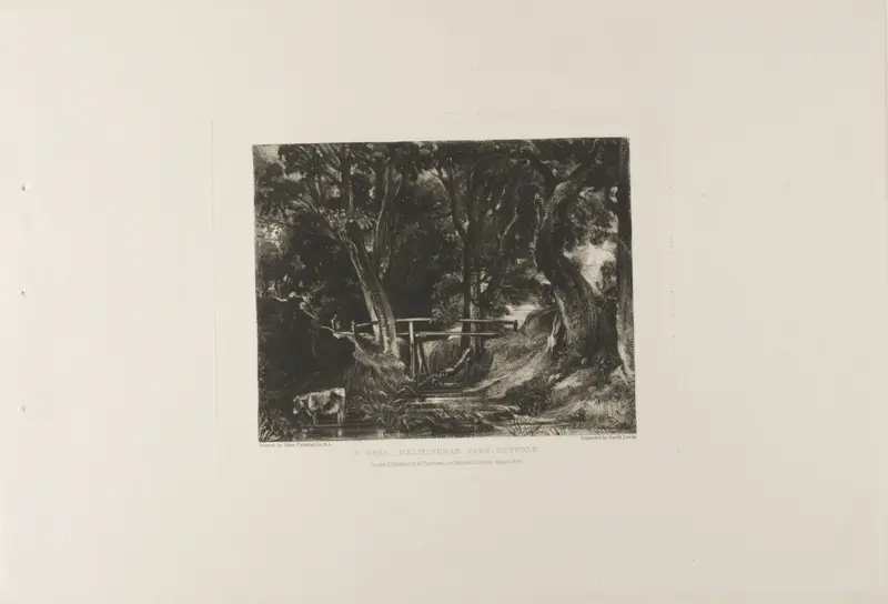 A Dell, Helmingham Park, Suffolk