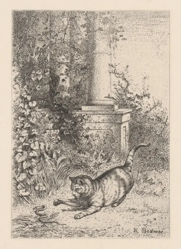 A Domestic Cat Playing with a Garter Snake, from "Eaux-Fortes Animaux & Paysages" Wall Art by Karl Bodmer - High-Resolution Digital Print