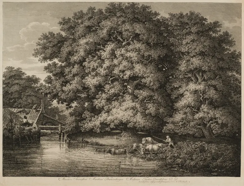A Farmer Driving his Cattle into the Water Wall Art by Johann Christian Reinhart - High-Resolution Digital Print