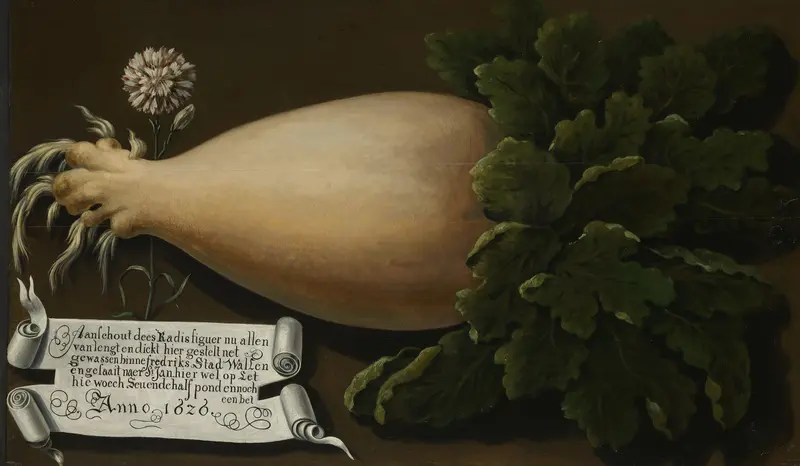 A Giant Radish Wall Art by anonymous - High-Resolution Digital Print