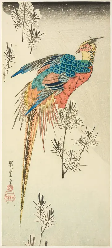 A Golden Pheasant Perched on a Steep Snowy Hillside amid Small Pine Saplings