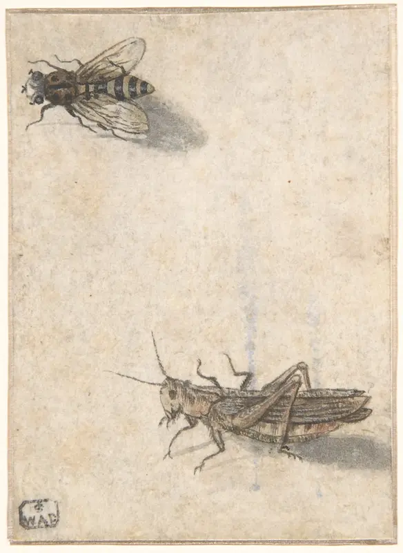 A Grasshopper and a Bee Wall Art by Anonymous, Dutch, 17th century - High-Resolution Digital Print