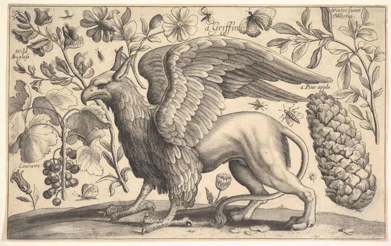 A Griffin Wall Art by Wenceslaus Hollar - High-Resolution Digital Print