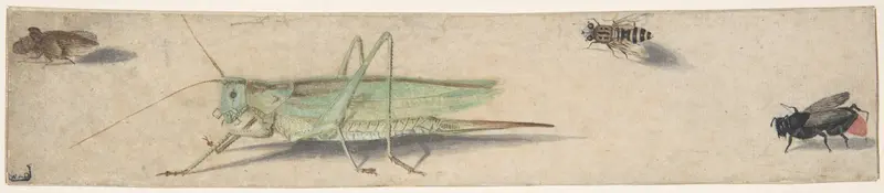 A Katydid, a Fly, a Bee, and a Fulgoroid Wall Art by Anonymous, Dutch, 17th century - High-Resolution Digital Print