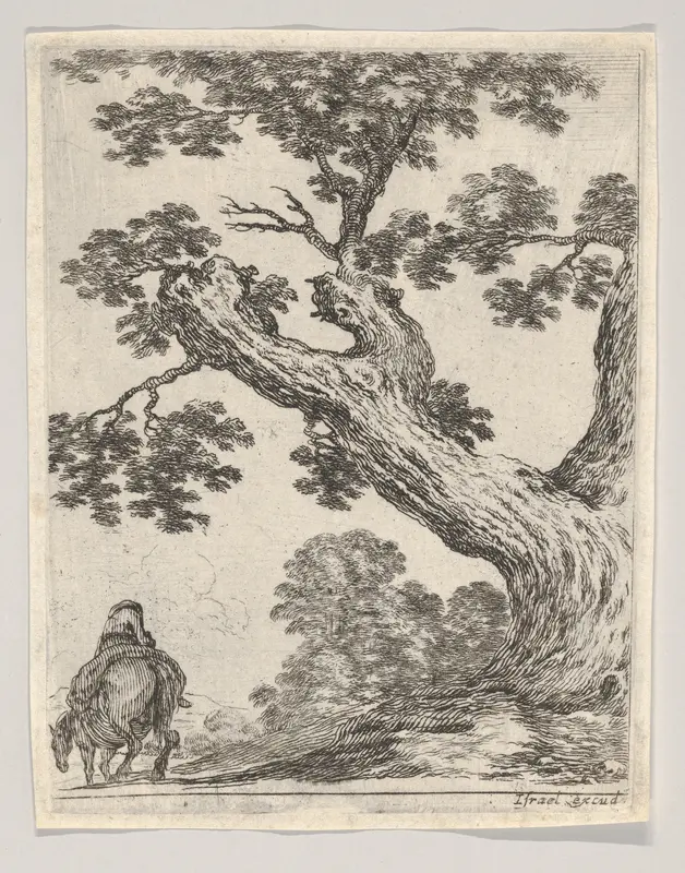 A large tree at right, a man on horseback at left, seen from behind riding towards the left, plate 18 from "Various figures and doodles" (Diverses figures et griffonnemens) Wall Art by Stefano della Bella - High-Resolution Digital Print