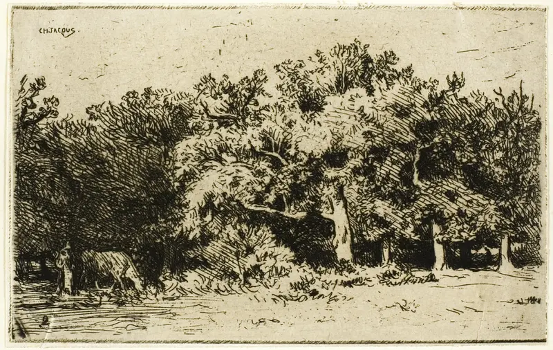 A Part of the Forest of Fontainebleau