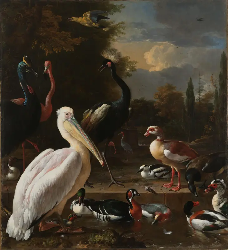 A Pelican and other Birds near a Pool, Known as ‘The Floating Feather’ Wall Art by Melchior d' Hondecoeter - High-Resolution Digital Print