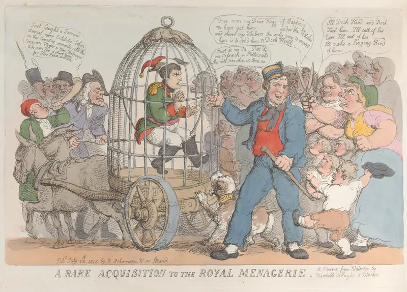 A Rare Acquisition to the Royal Menagerie Wall Art by Thomas Rowlandson - High-Resolution Digital Print