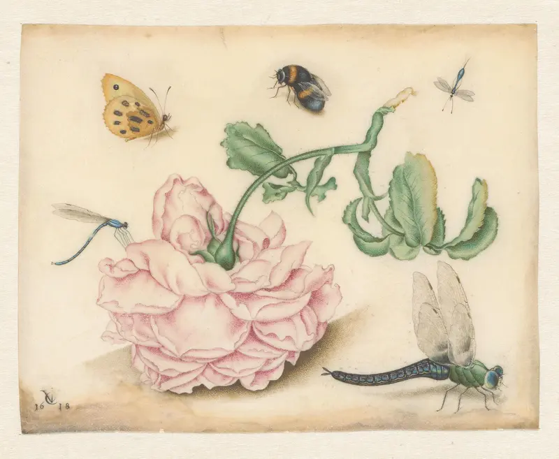A Rose and Five Insects Wall Art by Unknown - High-Resolution Digital Print