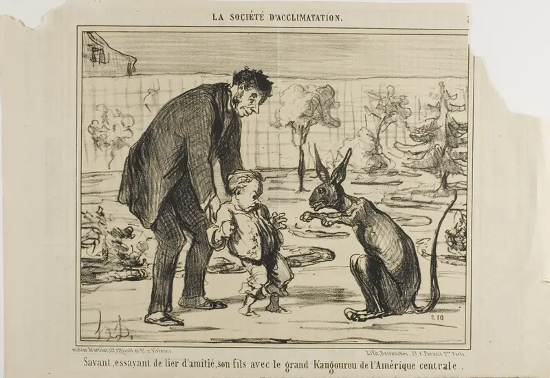A Scientist Trying to Befriend his Son with a Great Kangaroo from Central America, plate 3 from La Société D'acclimatation