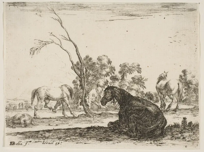 A seated horse to right, seen from behind and turned to the left, three other horses in middleground, a tree in center, plate 8 from "Various Figures" (Agréable diversité de figures) Wall Art by Stefano della Bella - High-Resolution Digital Print