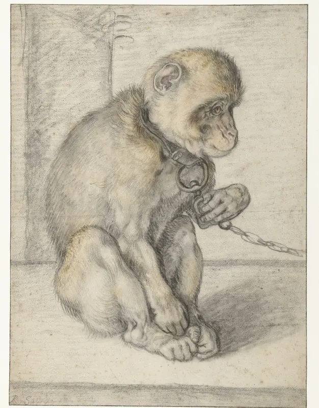 A Seated Monkey on a Chain Wall Art by Hendrick Goltzius - High-Resolution Digital Print