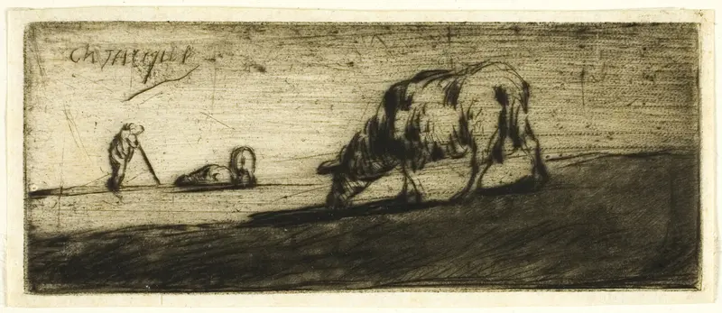 A Sheep Grazing