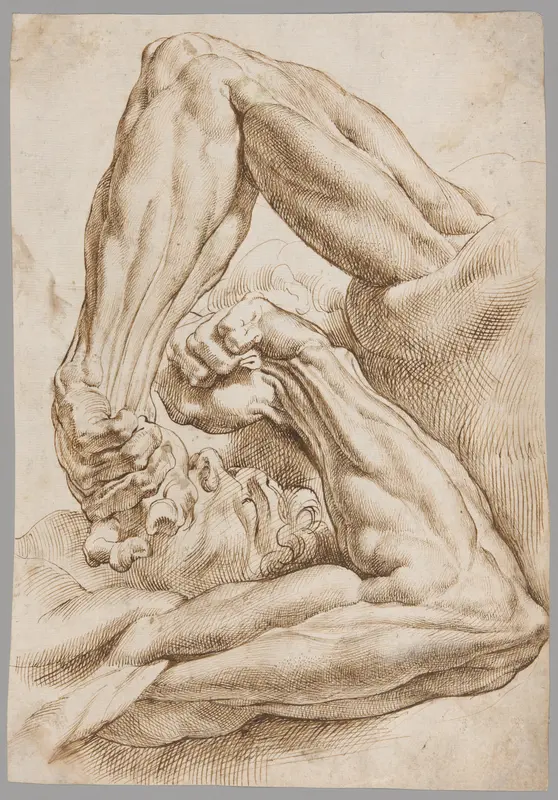 A Sheet of Anatomical Studies Wall Art by Peter Paul Rubens - High-Resolution Digital Print