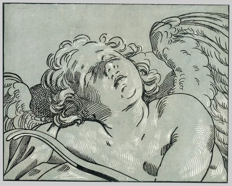 A sleeping cupid Wall Art by Bartolomeo Coriolano - High-Resolution Digital Print