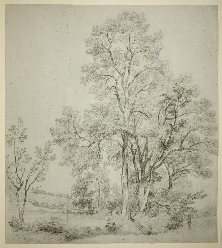 A Stand of Elm Trees (recto); A Study of East Bergholt with the Church (verso)