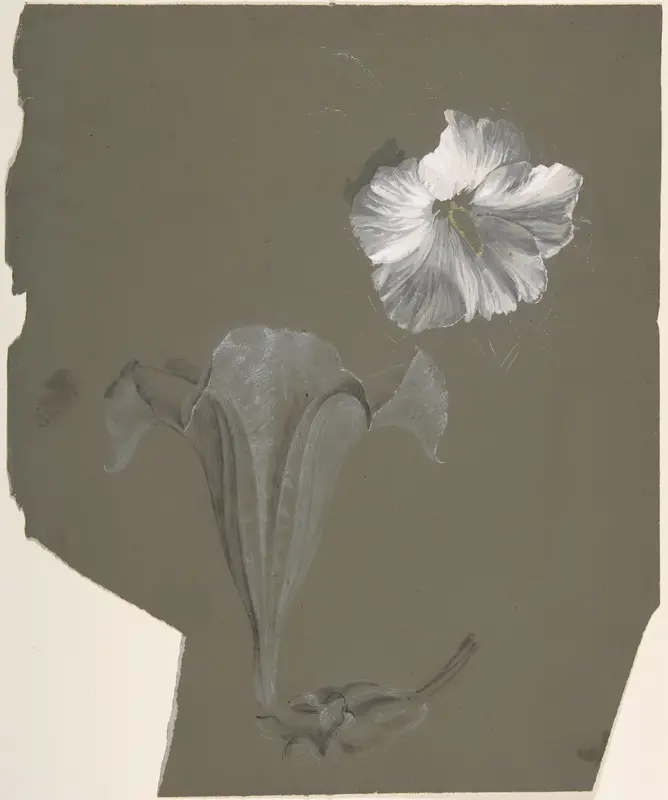 A Study of Two White Lilies Wall Art by Antoine Berjon - High-Resolution Digital Print