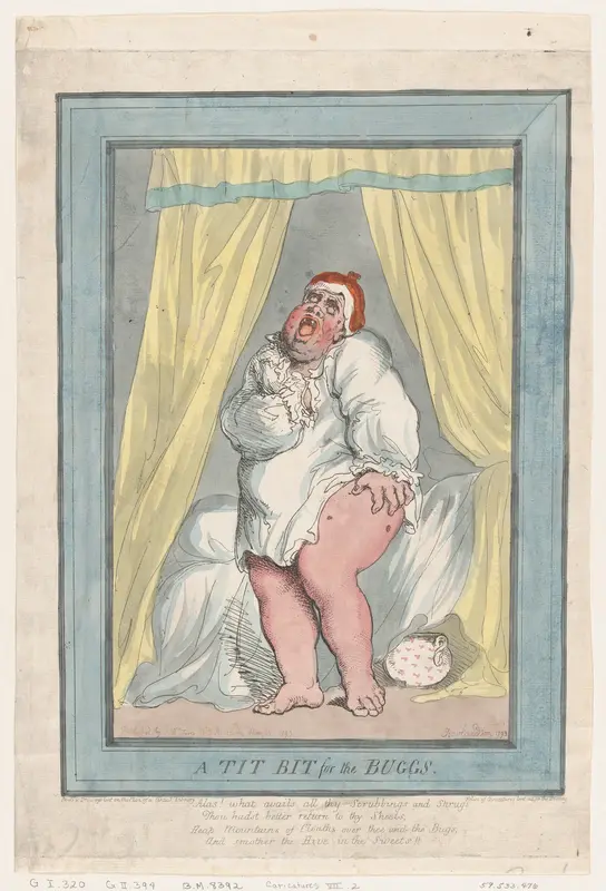 A Tit Bit for the Bugs Wall Art by Thomas Rowlandson - High-Resolution Digital Print