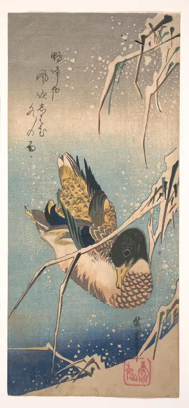 A Wild Duck near a Snow-laden Shore