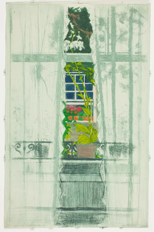 A Window Seen Through a Window